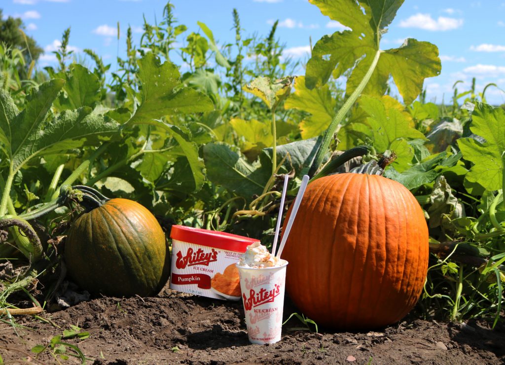 Pumpkin Patch - FULL