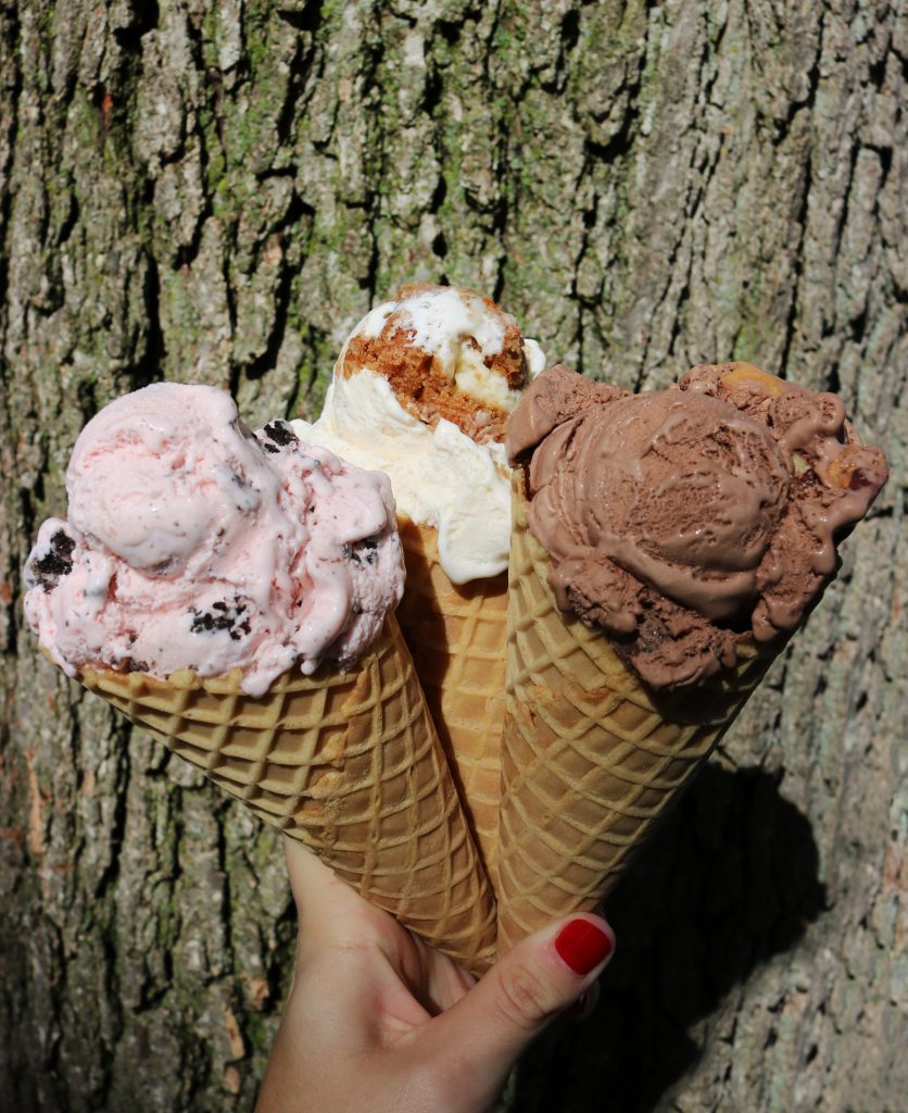 fall flavors 2019