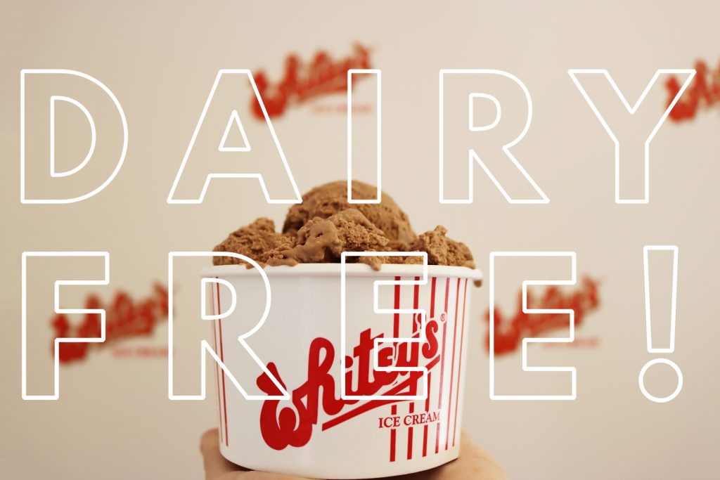 dairy free 1