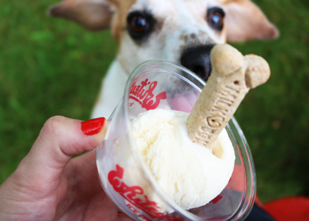 pup cup 1