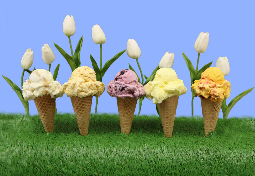 Spring Flavors are back! Whitey's Ice Cream