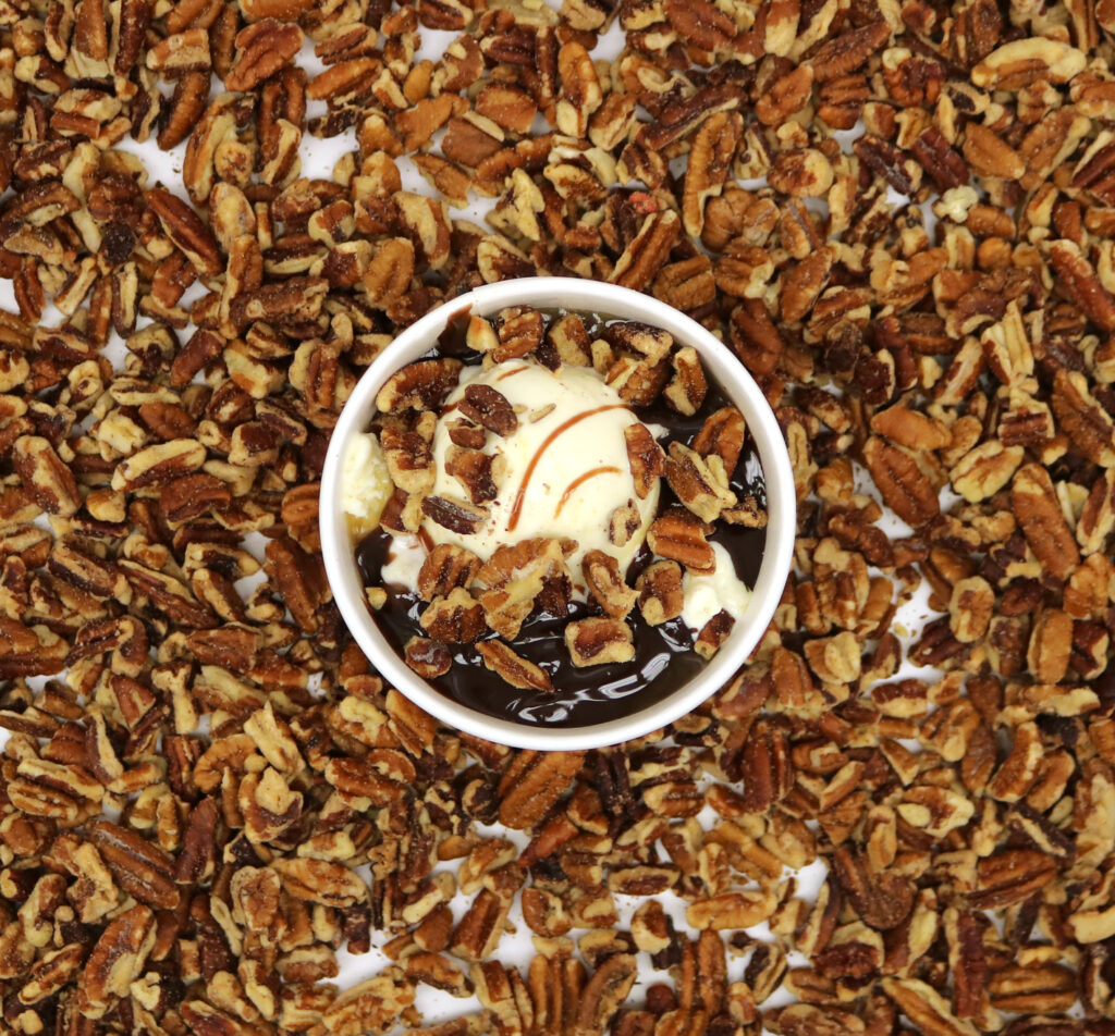 turtle sundae - large