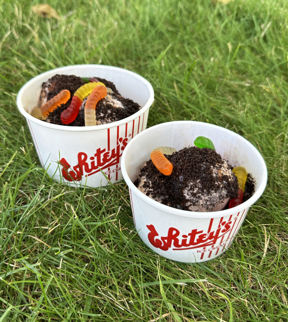 dirt cup
