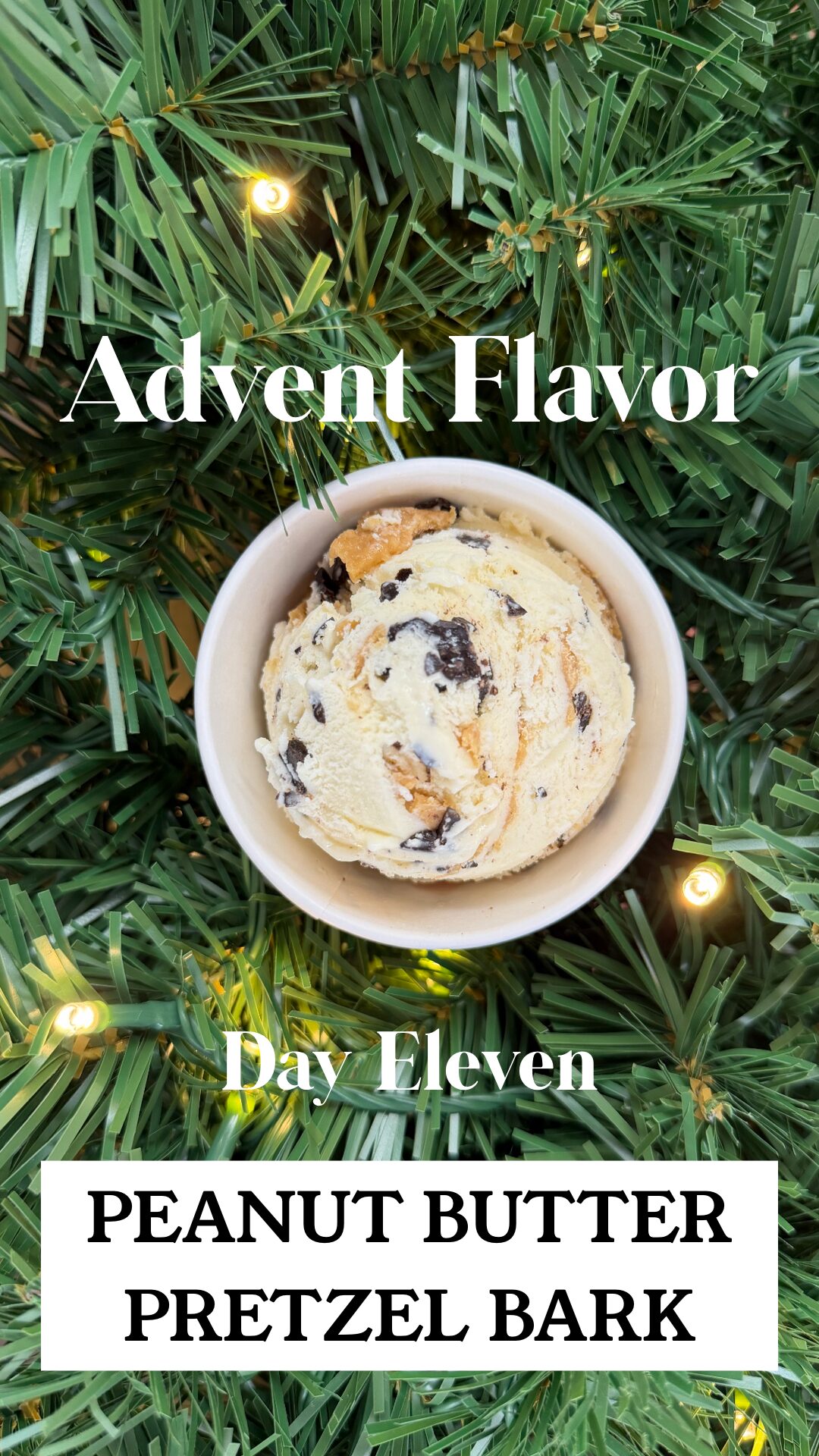 Day 11 - Peanut Butter Pretzel Bark