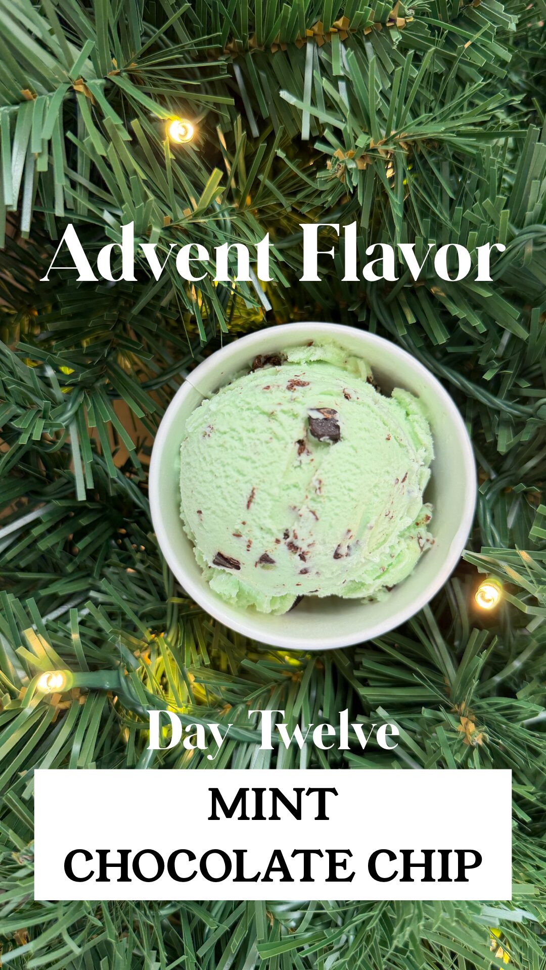 Day 12 - Mint Chocolate Chip