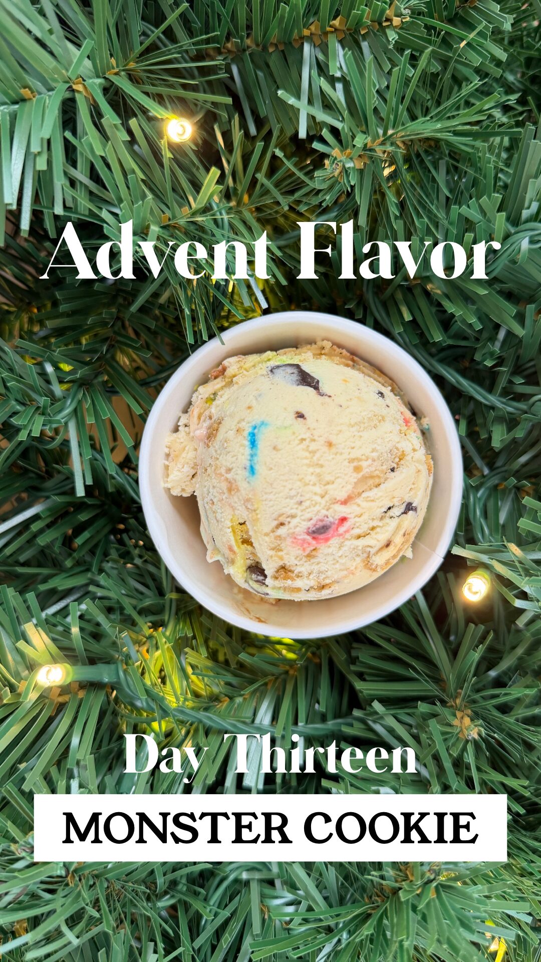 Day 13 - Monster Cookie