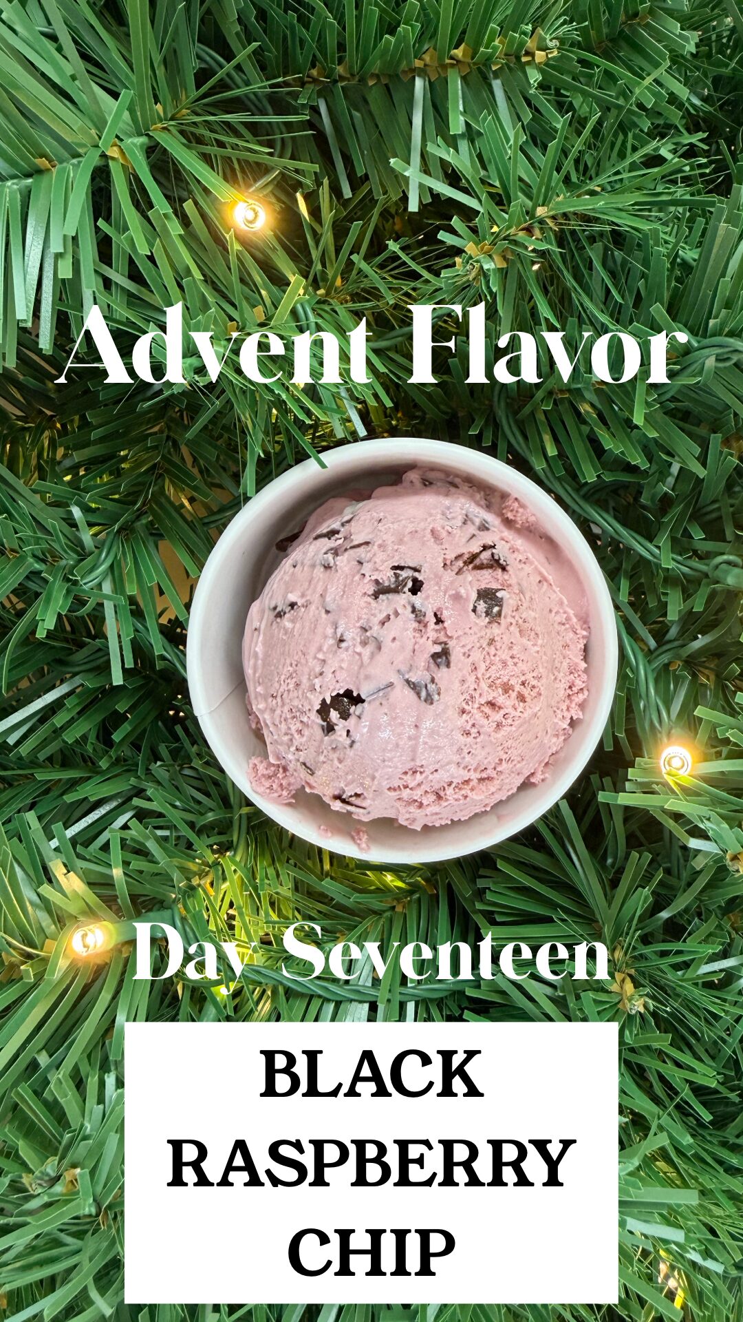 Day 17 - Black Rasp Chip