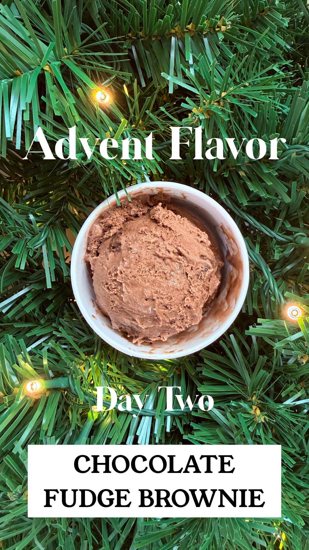 Day 2 - Chocolate Fudge Brownie