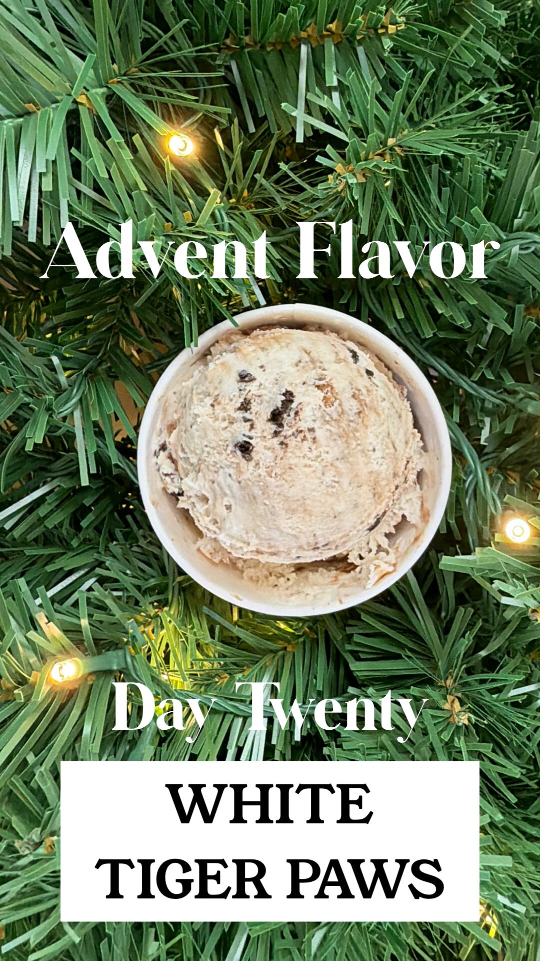 Day 20 - White Tiger Paws