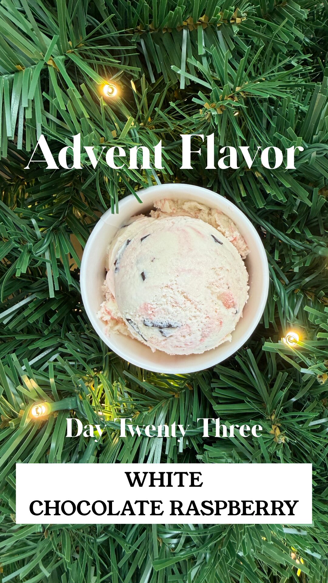 Day 23 - White Chocolate Raspberry