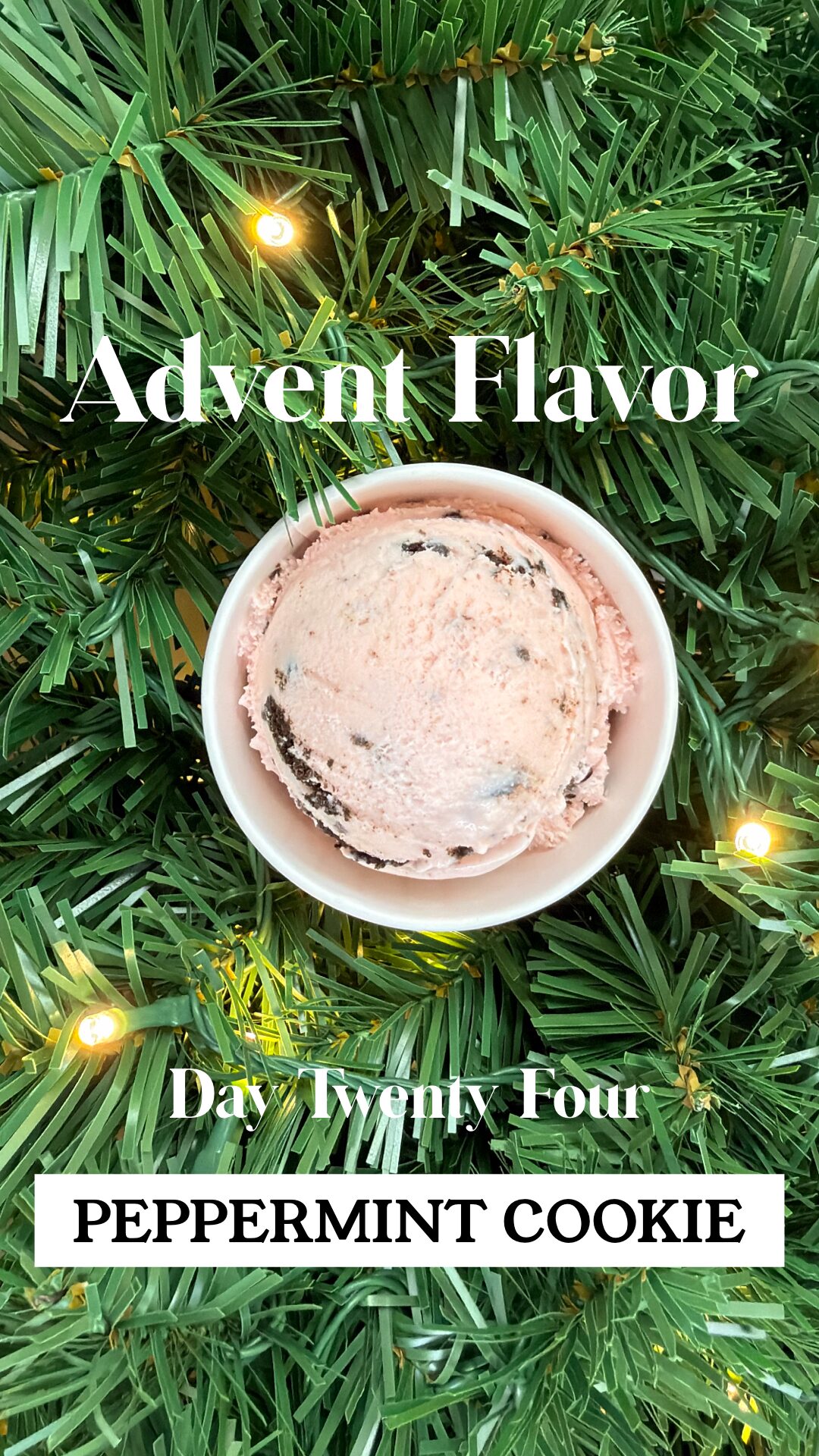 Day 24 - Peppermint Cookie