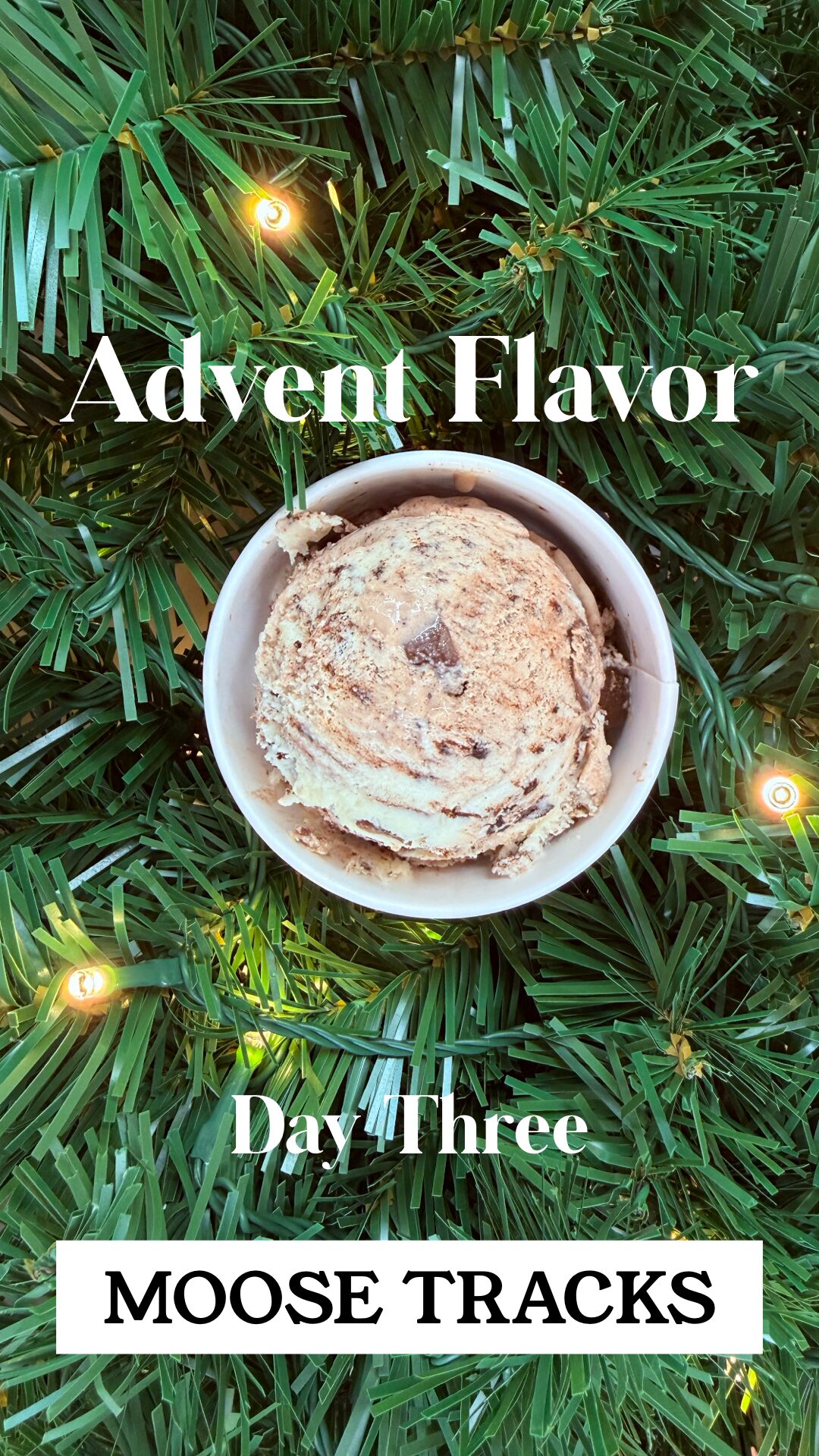 Day 3 - Moose Tracks