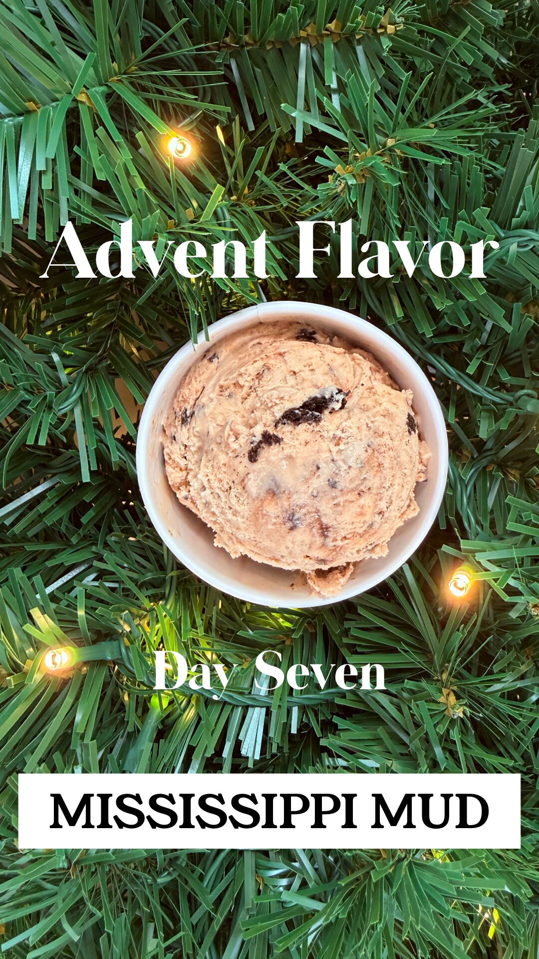 Day 7 - Mississippi Mud