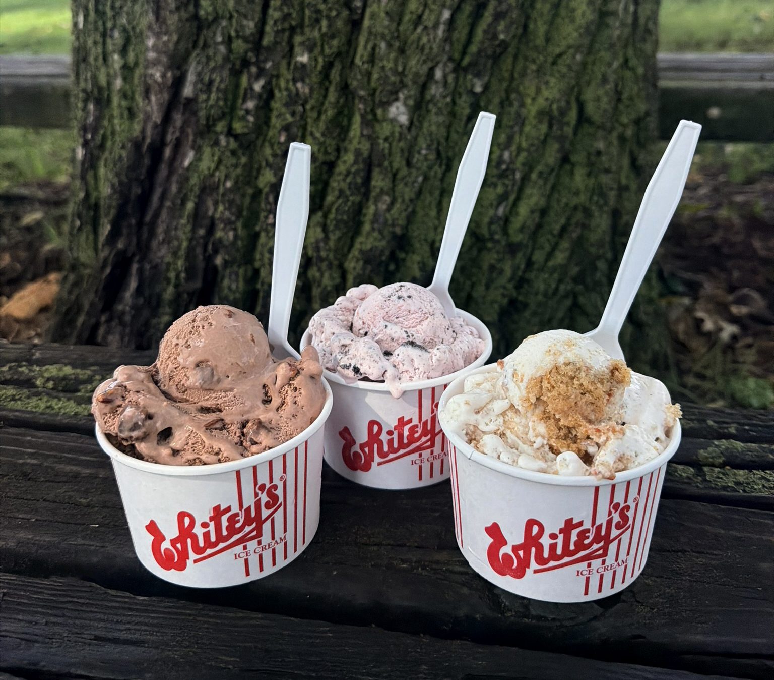 fall flavors 26