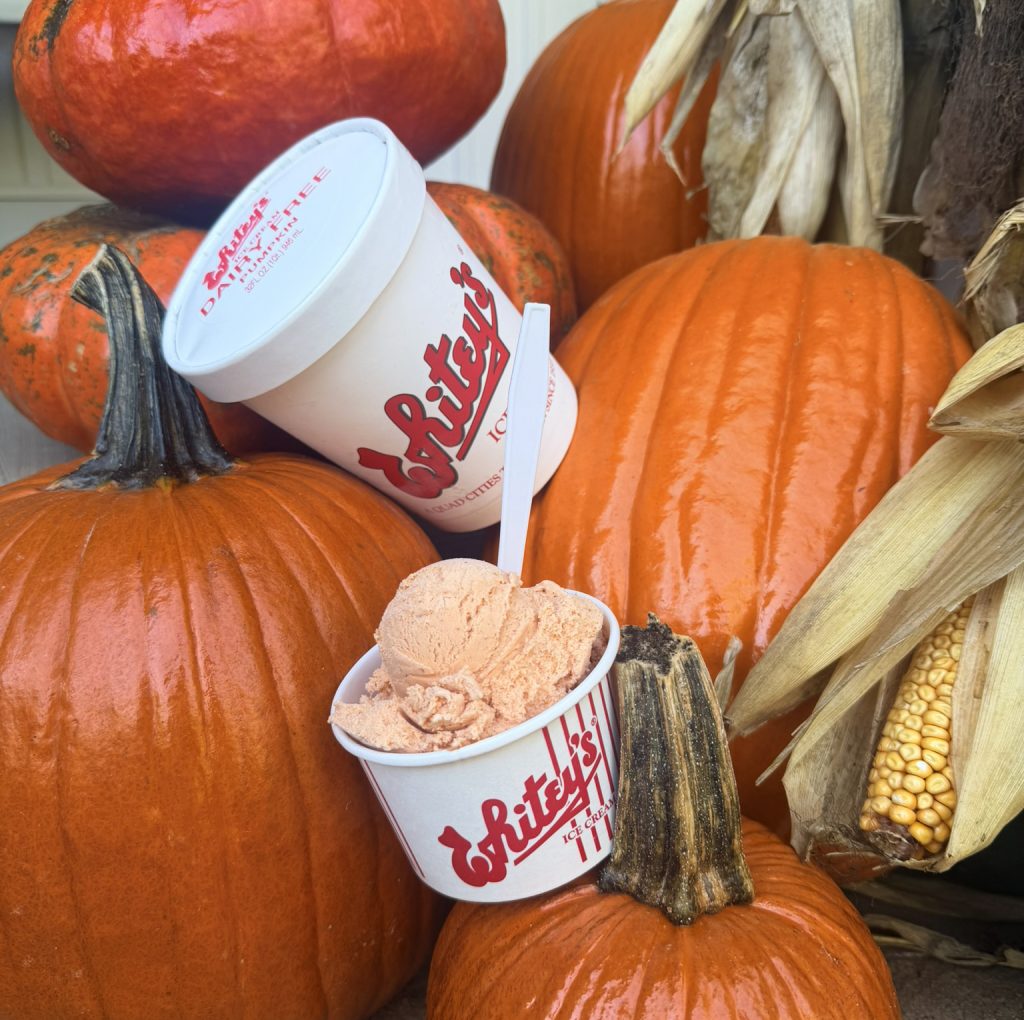 Dairy-Free Pumpkin
